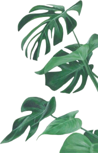 Organic Arogya